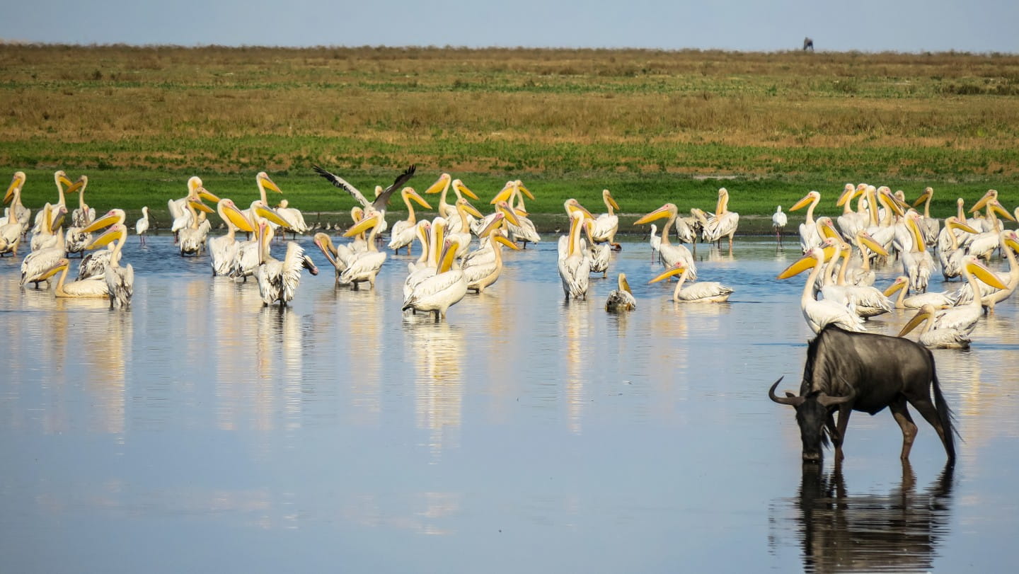 When is the Best Time to Visit Kenya?